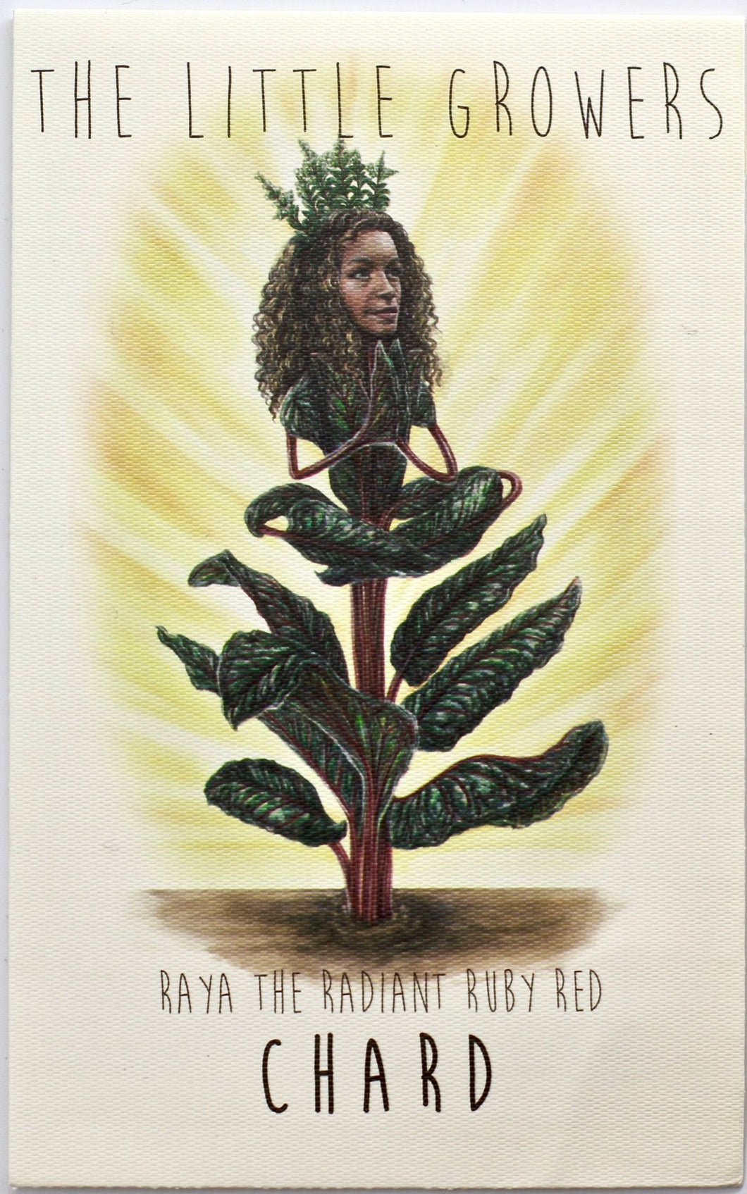 Ruby Red Chard Seeds