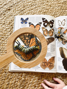 Magnifying Glass