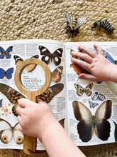 Load image into Gallery viewer, Magnifying Glass