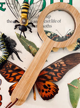 Load image into Gallery viewer, Magnifying Glass