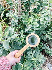 Magnifying Glass