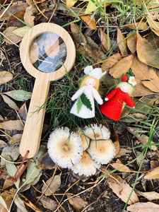 Magnifying Glass