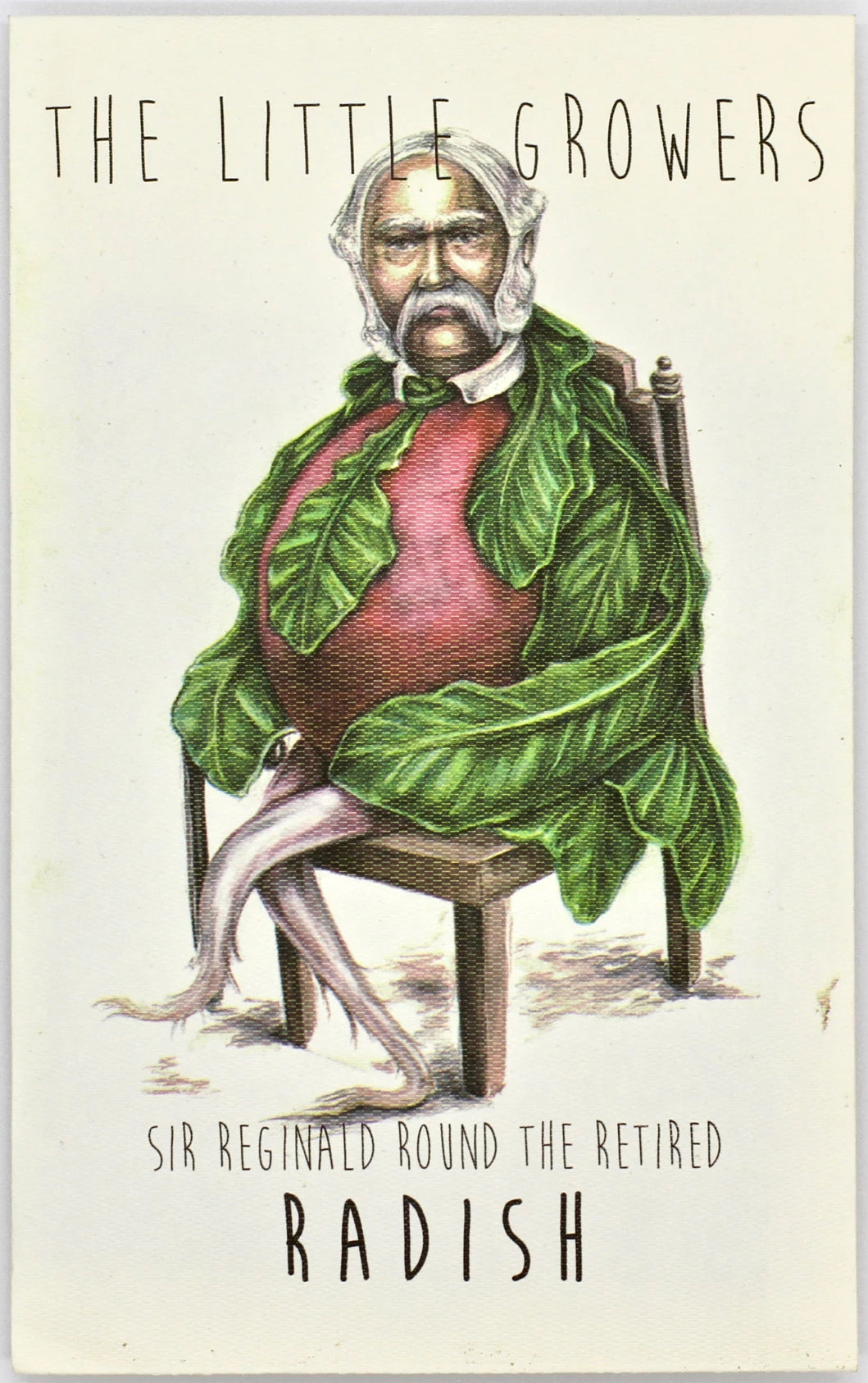 Radish Seeds